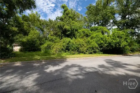 Vacant Buildable Lot in Savannah