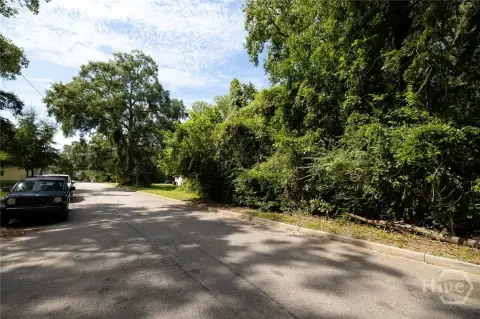 Vacant Buildable Lot in Savannah