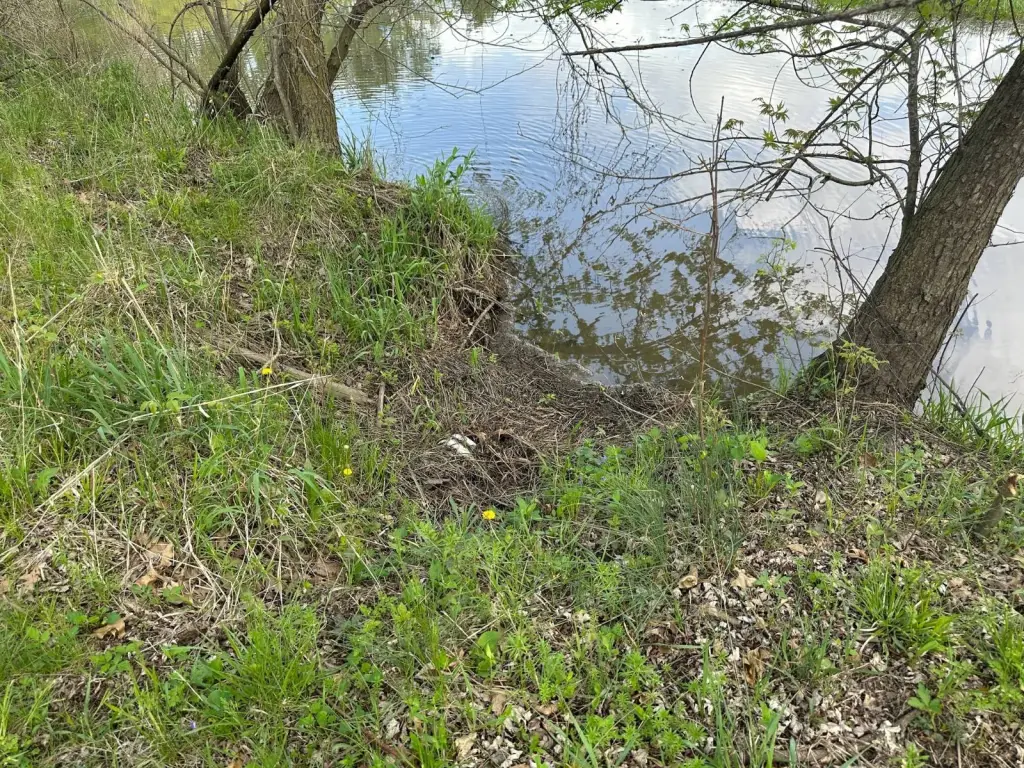 Picture 24