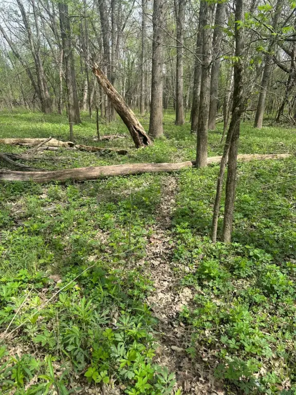 Picture 46