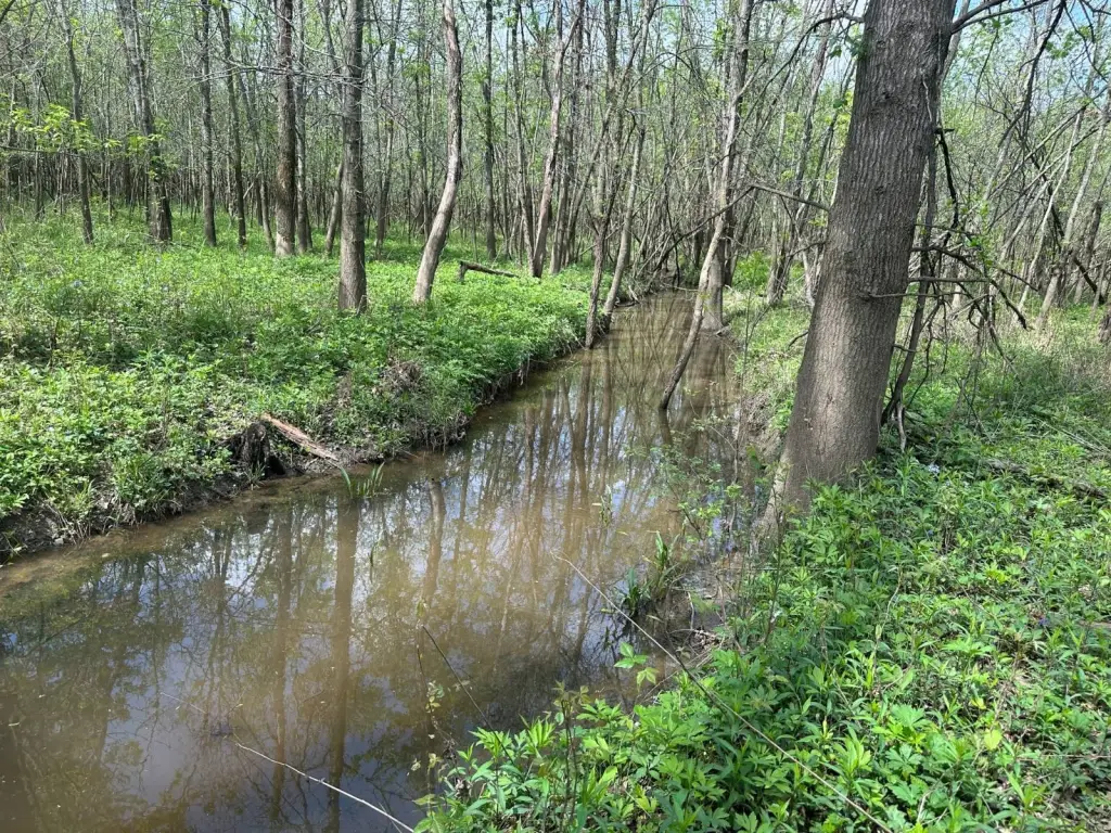 Picture 37