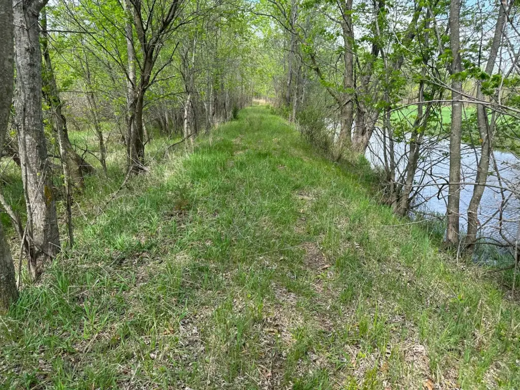 Picture 23