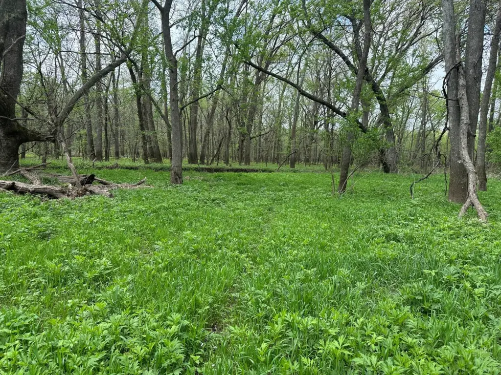 Picture 30