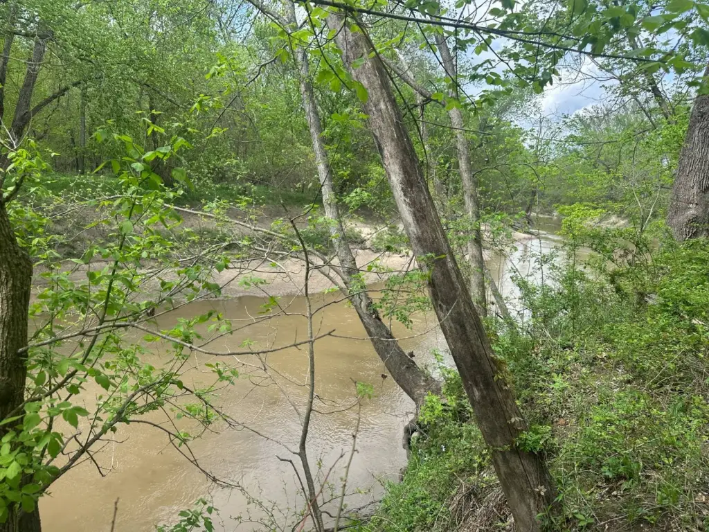 Picture 43