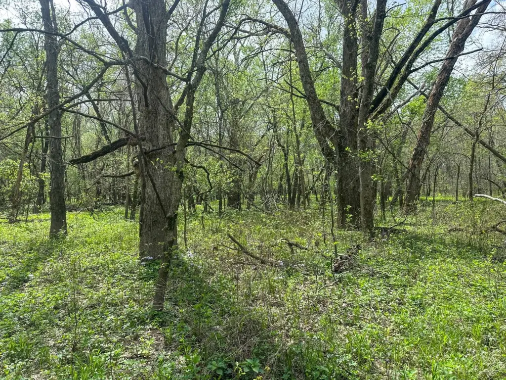 Picture 38