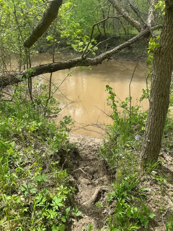 Picture 42