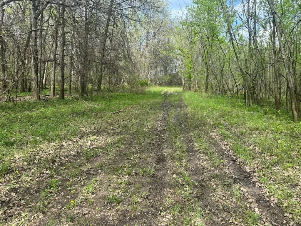 Picture 39
