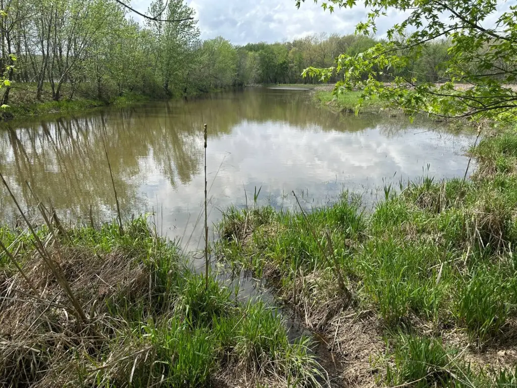 Picture 25