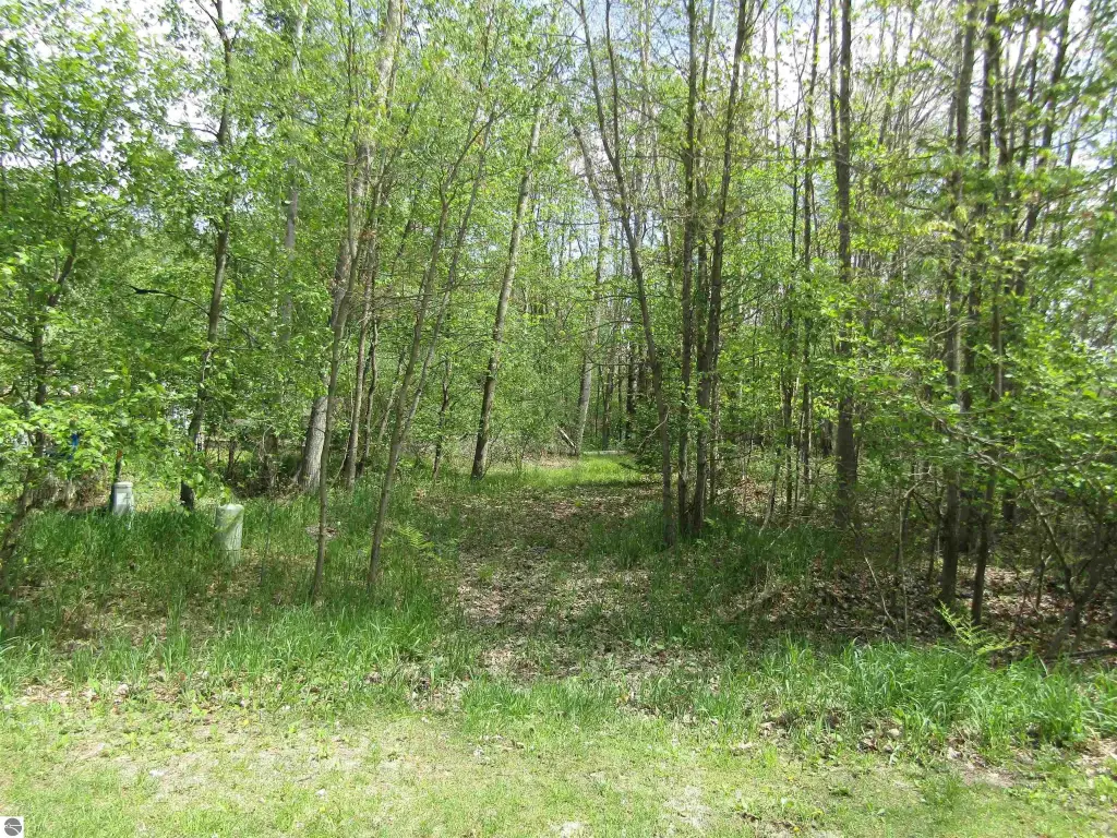 Picture 7