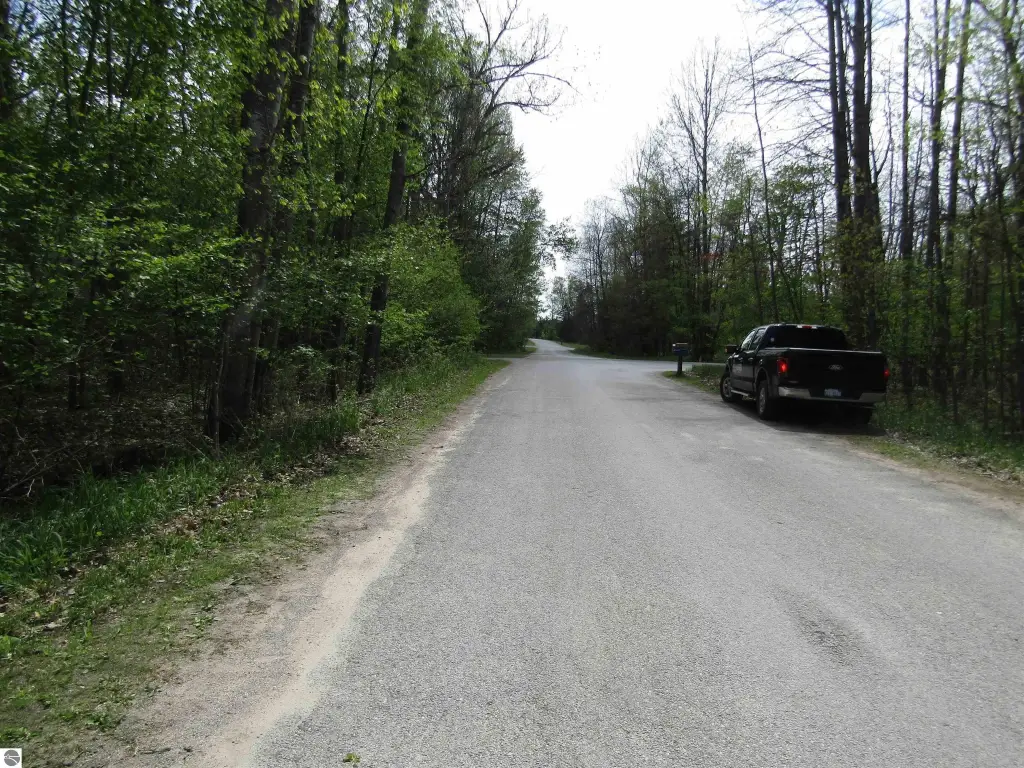 Picture 8
