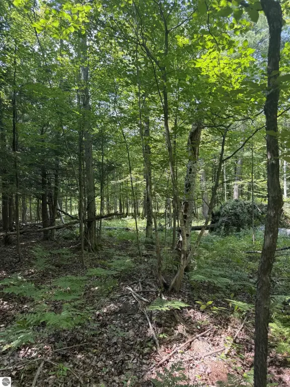 Picture 19
