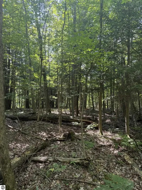 Picture 18