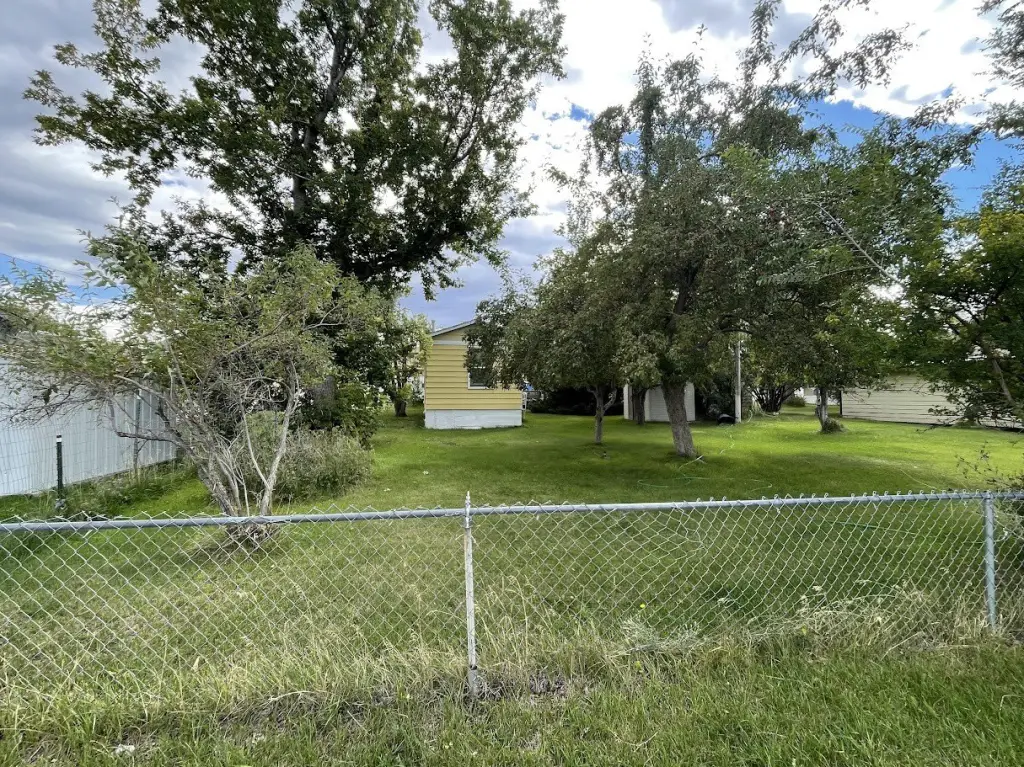 Picture 16