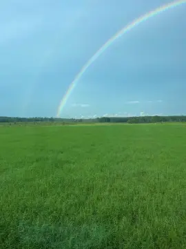 20+ Acre Pasture Land