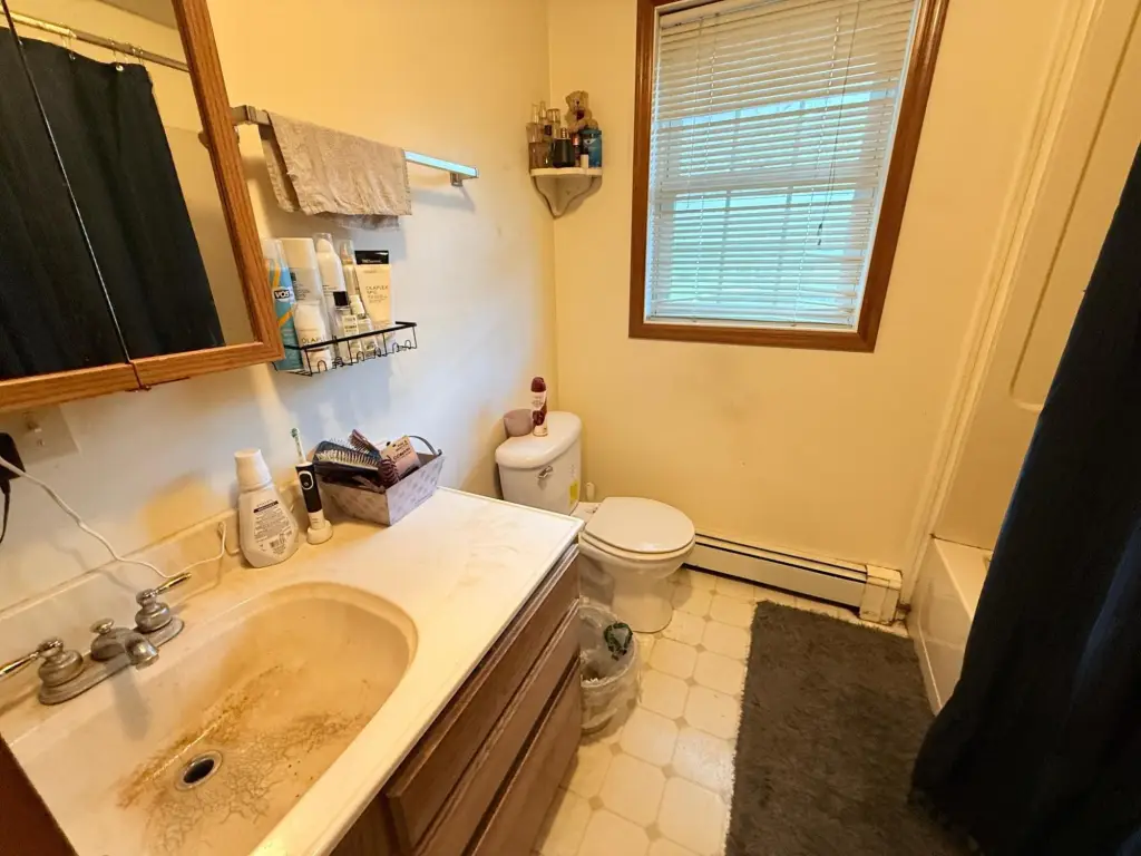Picture 21