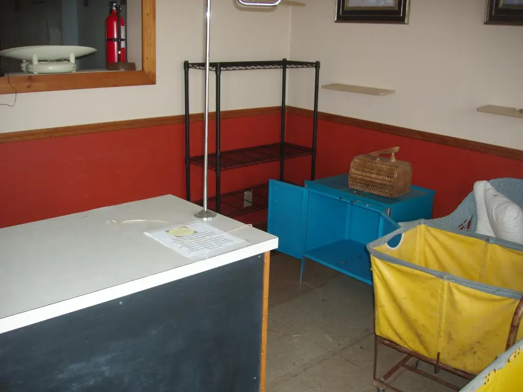 Picture 5