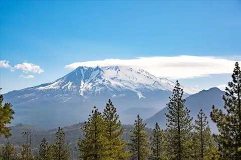 64 Acres of Natural Beauty