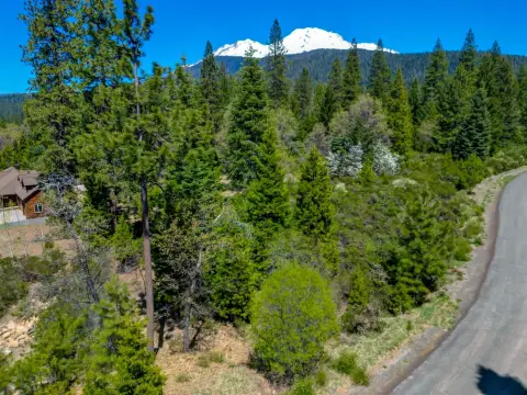 Mt Shasta Acreage with Views