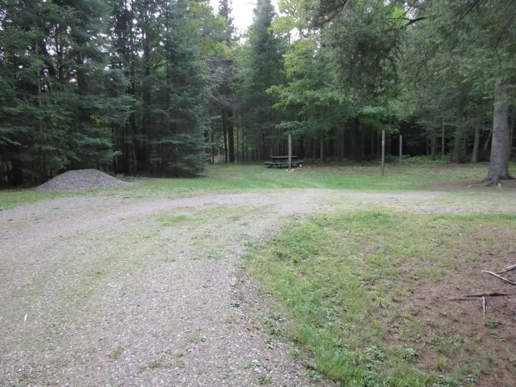 Picture 7