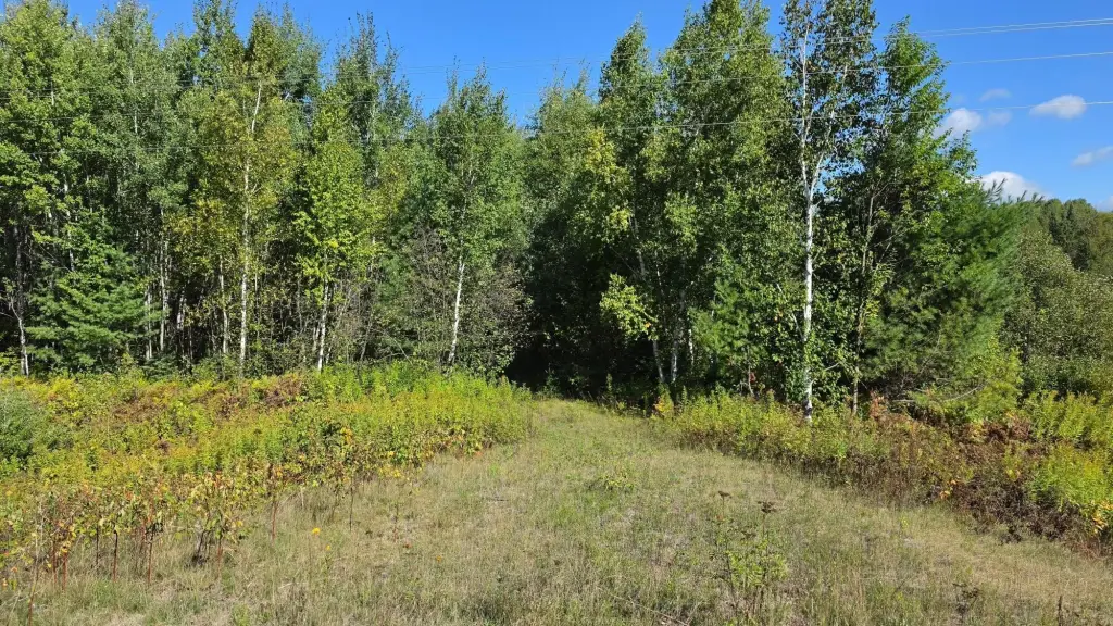 Picture 2