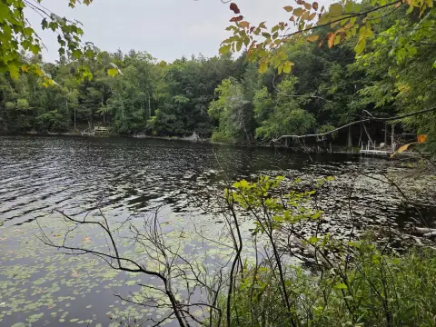 Black Oak Lake Waterfront Land