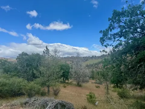 Hornbrook Acreage with Mountain Views
