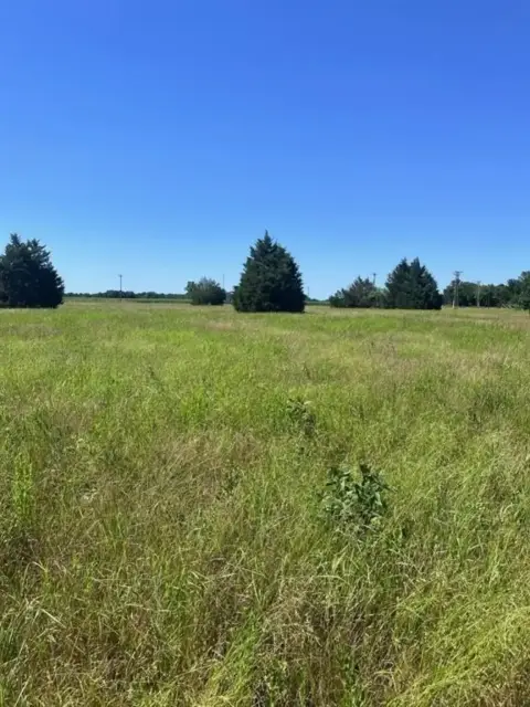Residential Land Near Richland Chambers