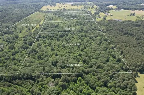 15.3 Acres Wooded Land, Timpson
