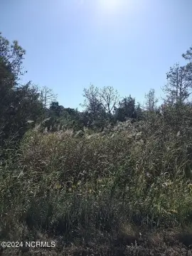 Bayboro, NC Hunting Land