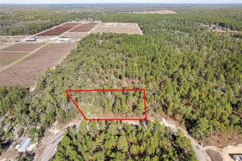 Citrus Springs Vacant 1-Acre Lot