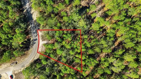 Citrus Springs Vacant Land Opportunity