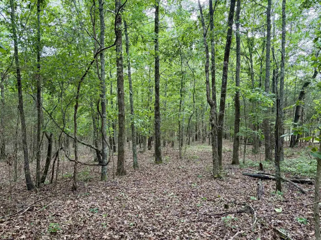 Picture 25