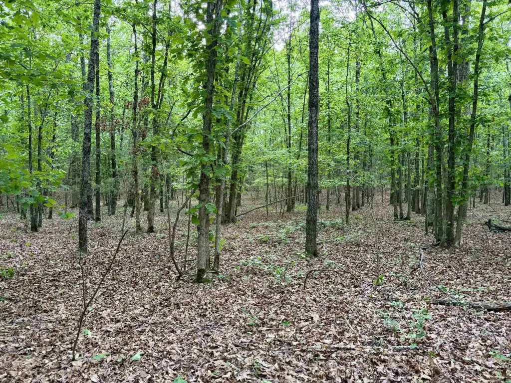 Picture 30