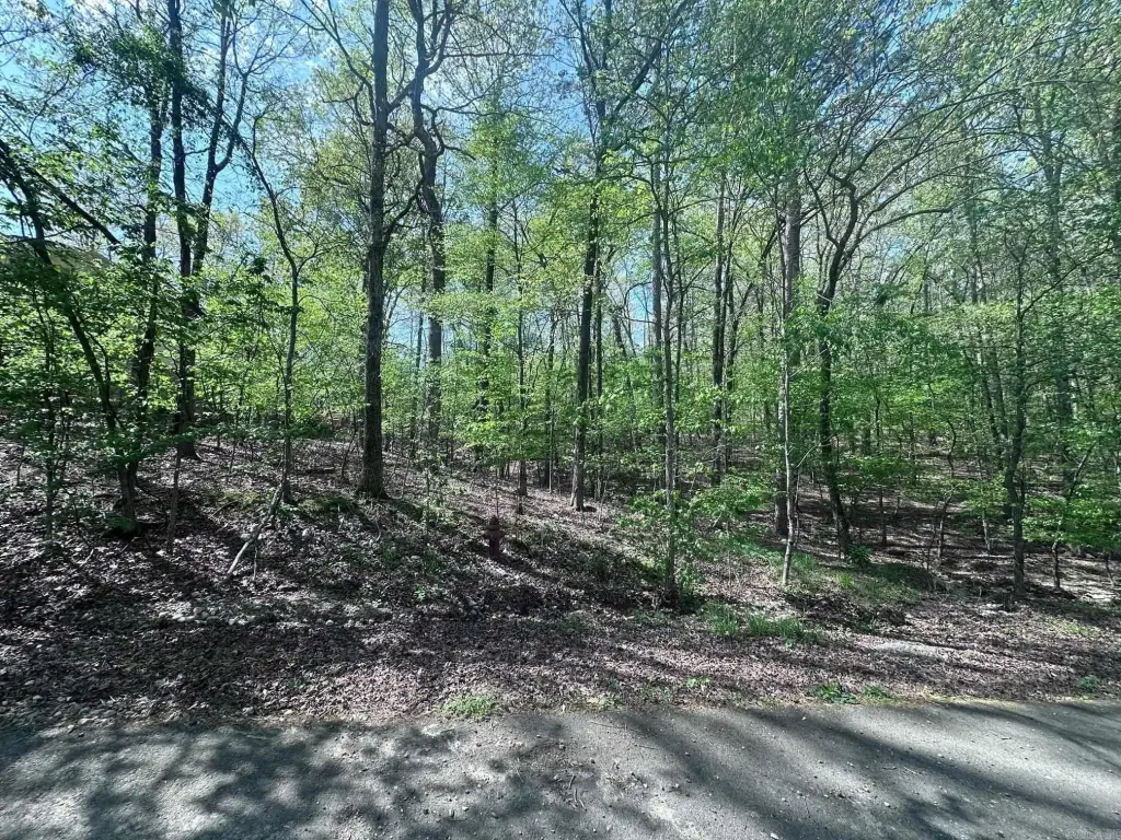 Picture 2
