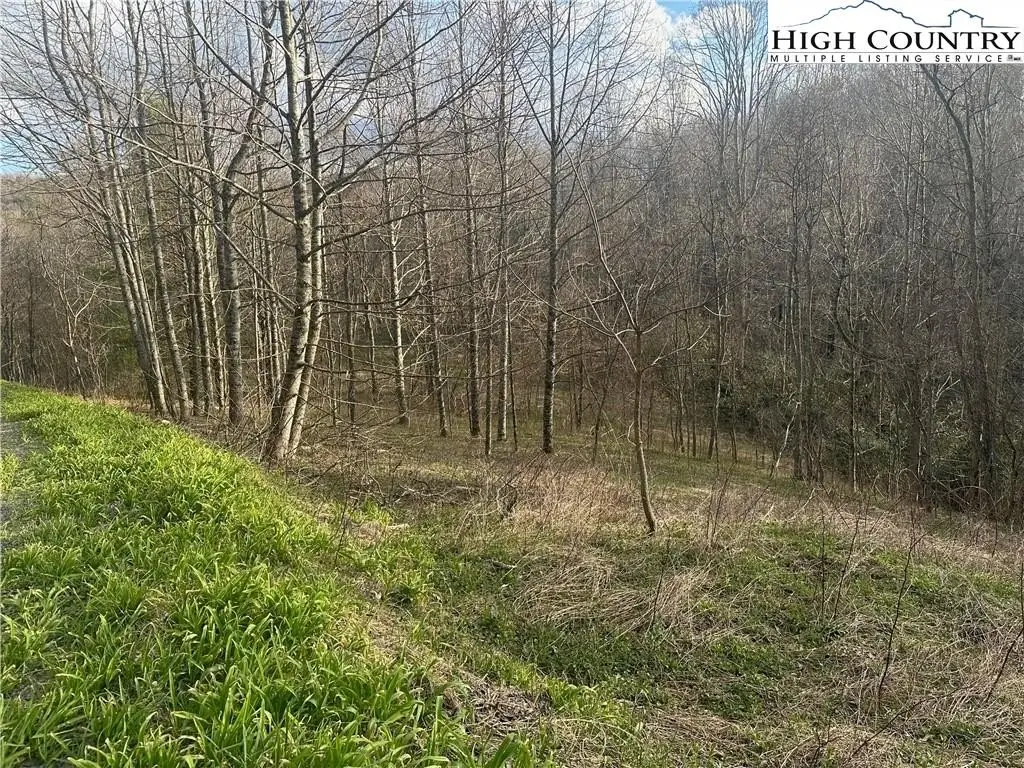 Picture 4