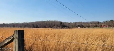 Pasture Land Ready For Development