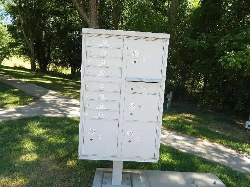 Picture 19