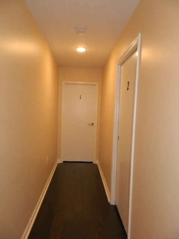 Picture 51