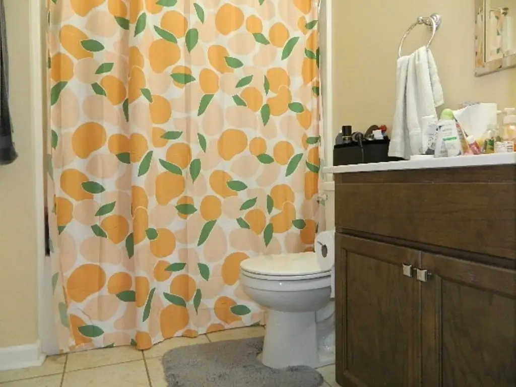 Picture 45