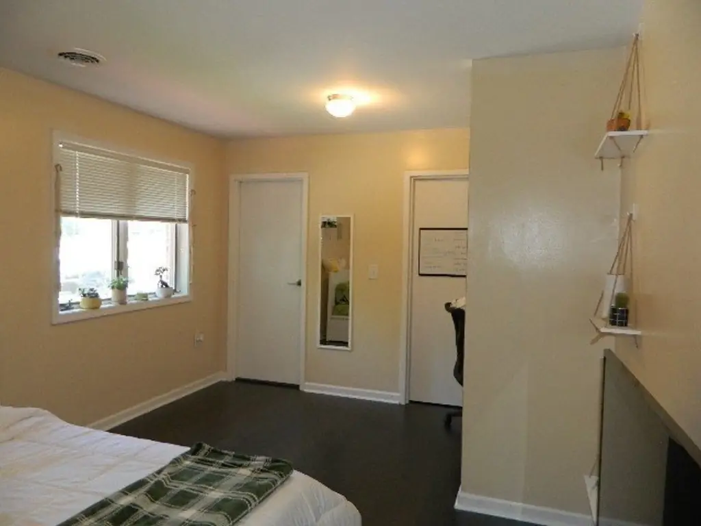 Picture 43