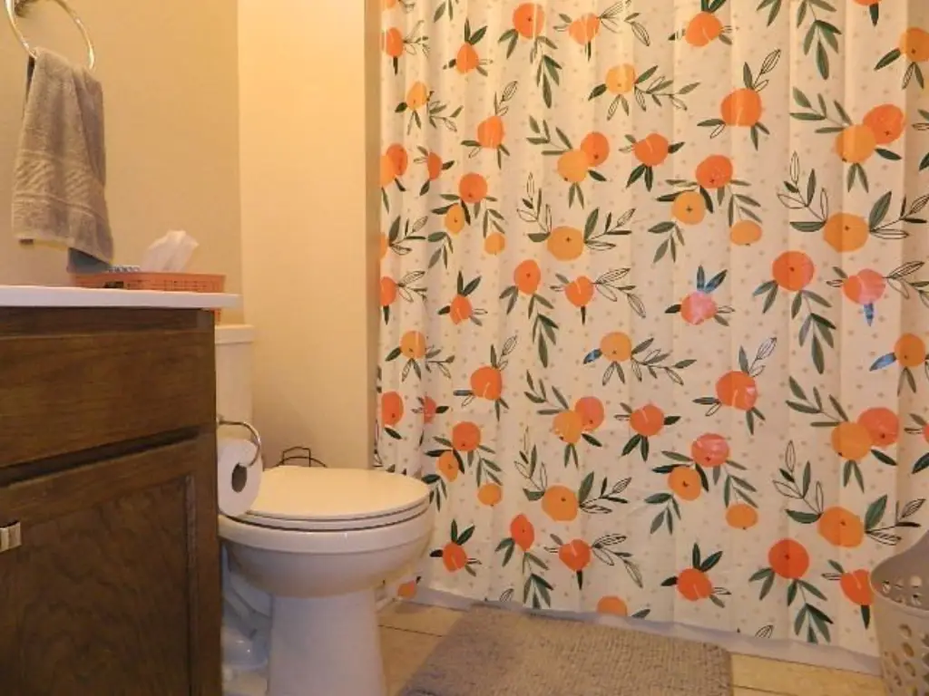 Picture 41