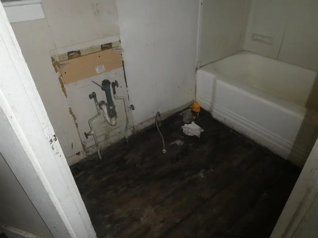 Picture 34