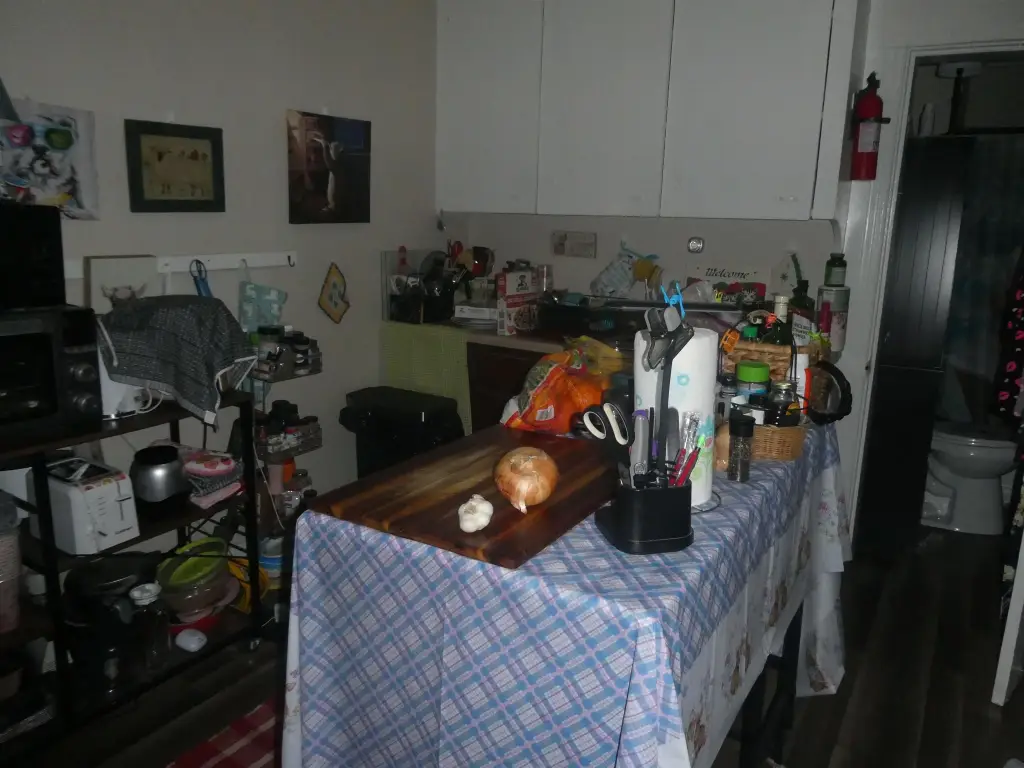 Picture 11