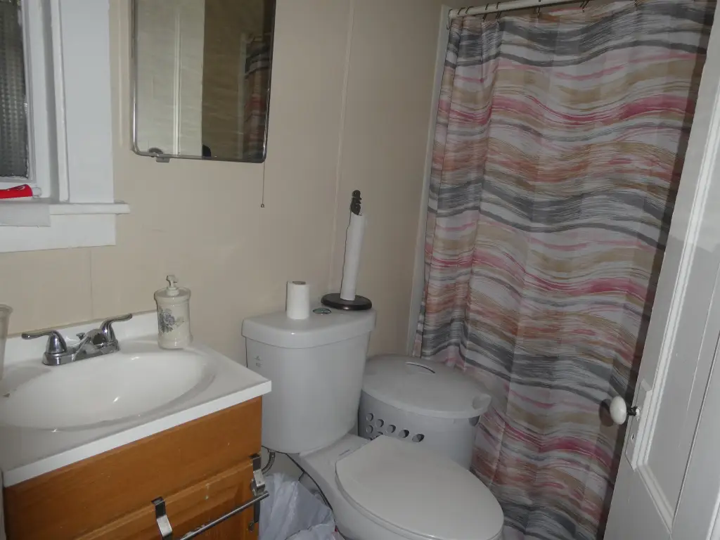 Picture 19