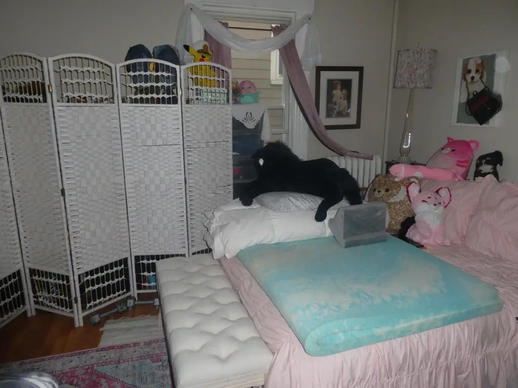 Picture 13