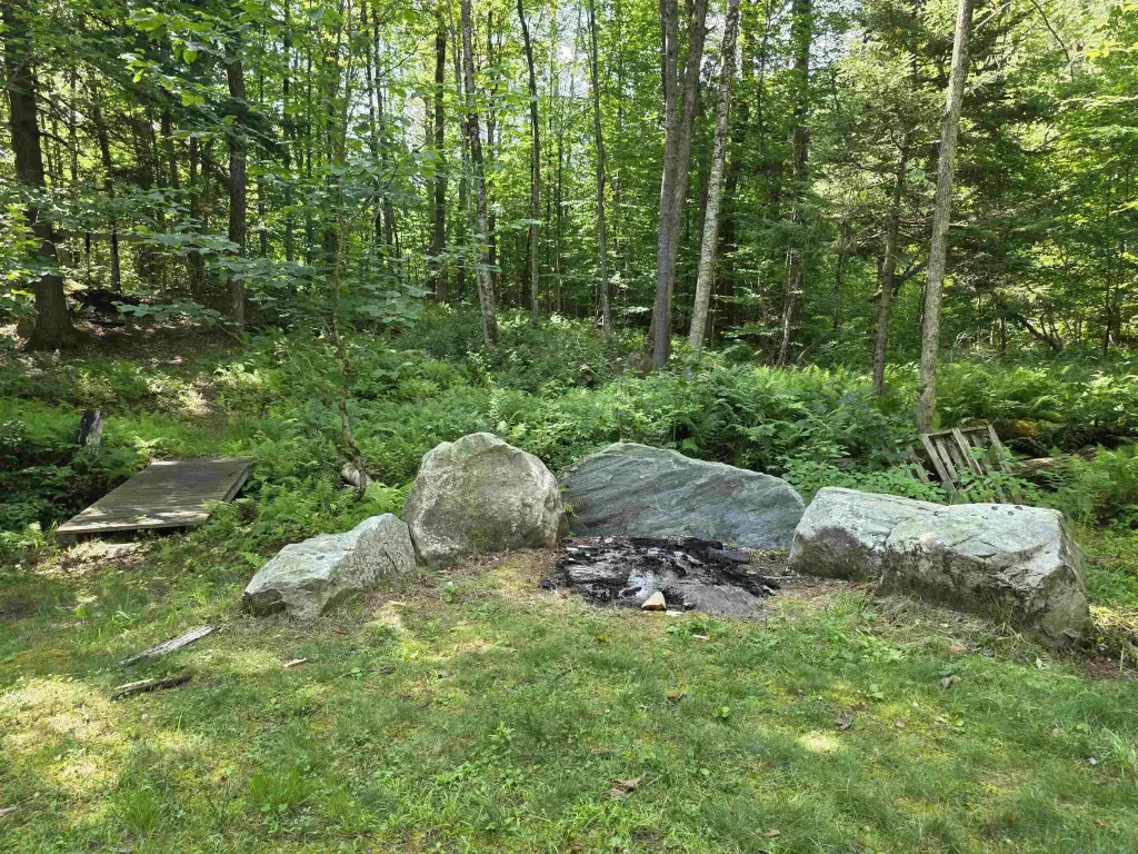 Picture 8