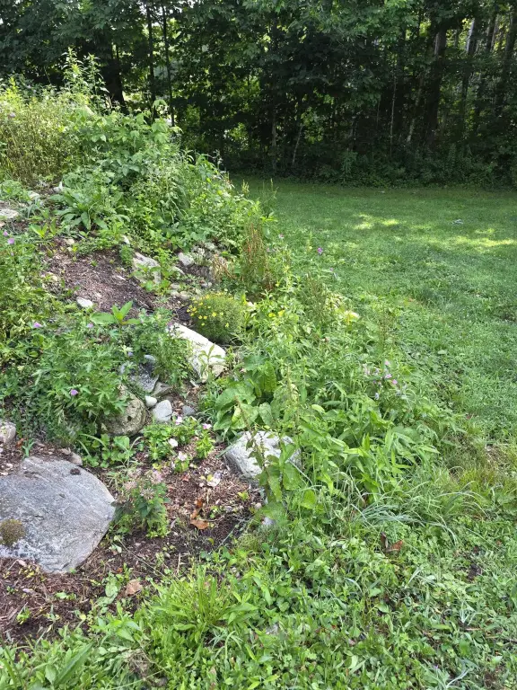 Picture 38