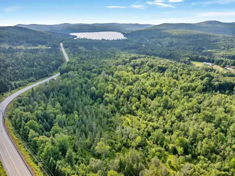 Wooded Land Parcel with Road Frontage