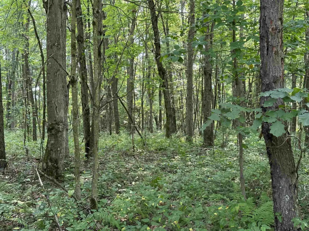 Picture 6