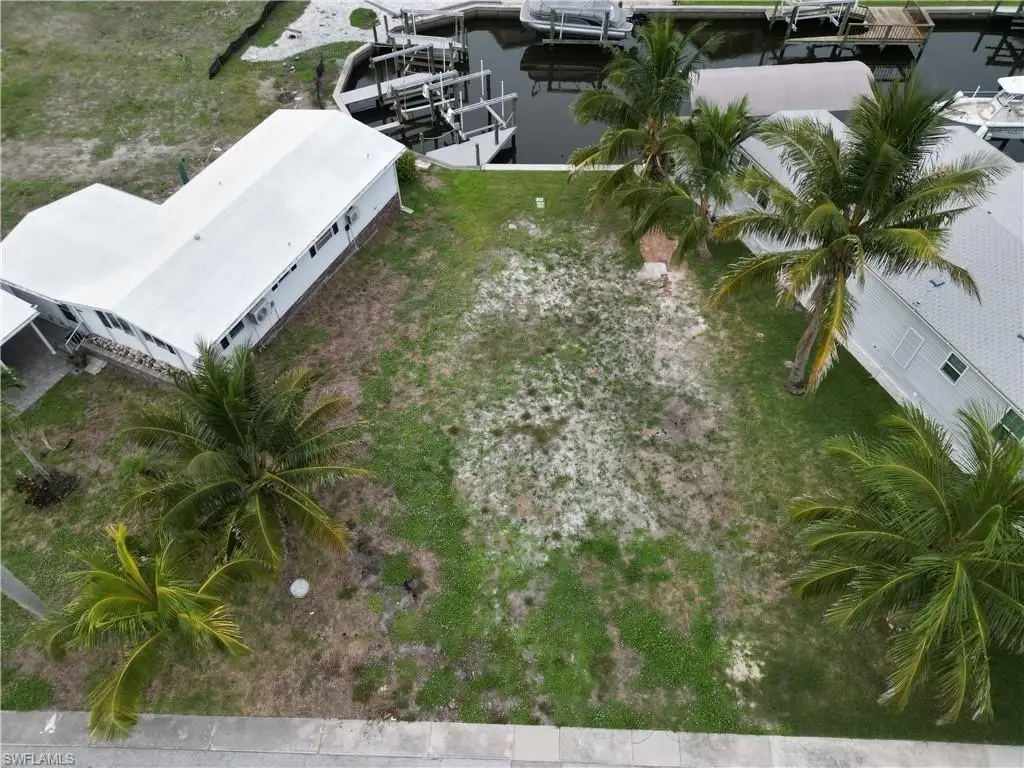 Picture 5